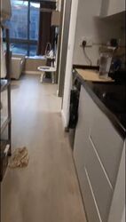 Sycamore Tree (D15), Apartment #511929501